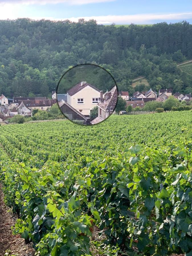 Maison De Campagne Entre Vigne Et Bois Chablis Zewnętrze zdjęcie