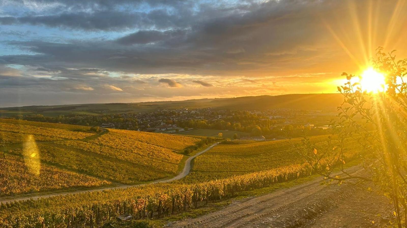 Maison De Campagne Entre Vigne Et Bois Chablis Zewnętrze zdjęcie